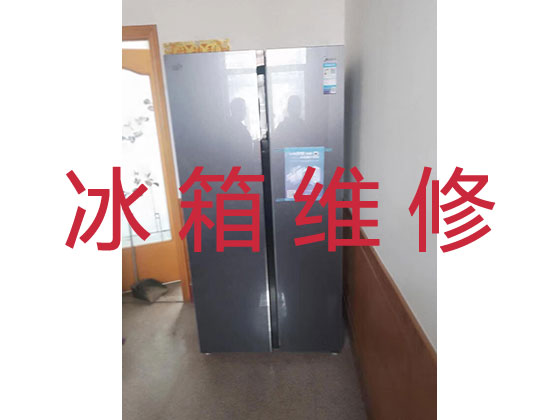 黔东南专业电冰箱安装